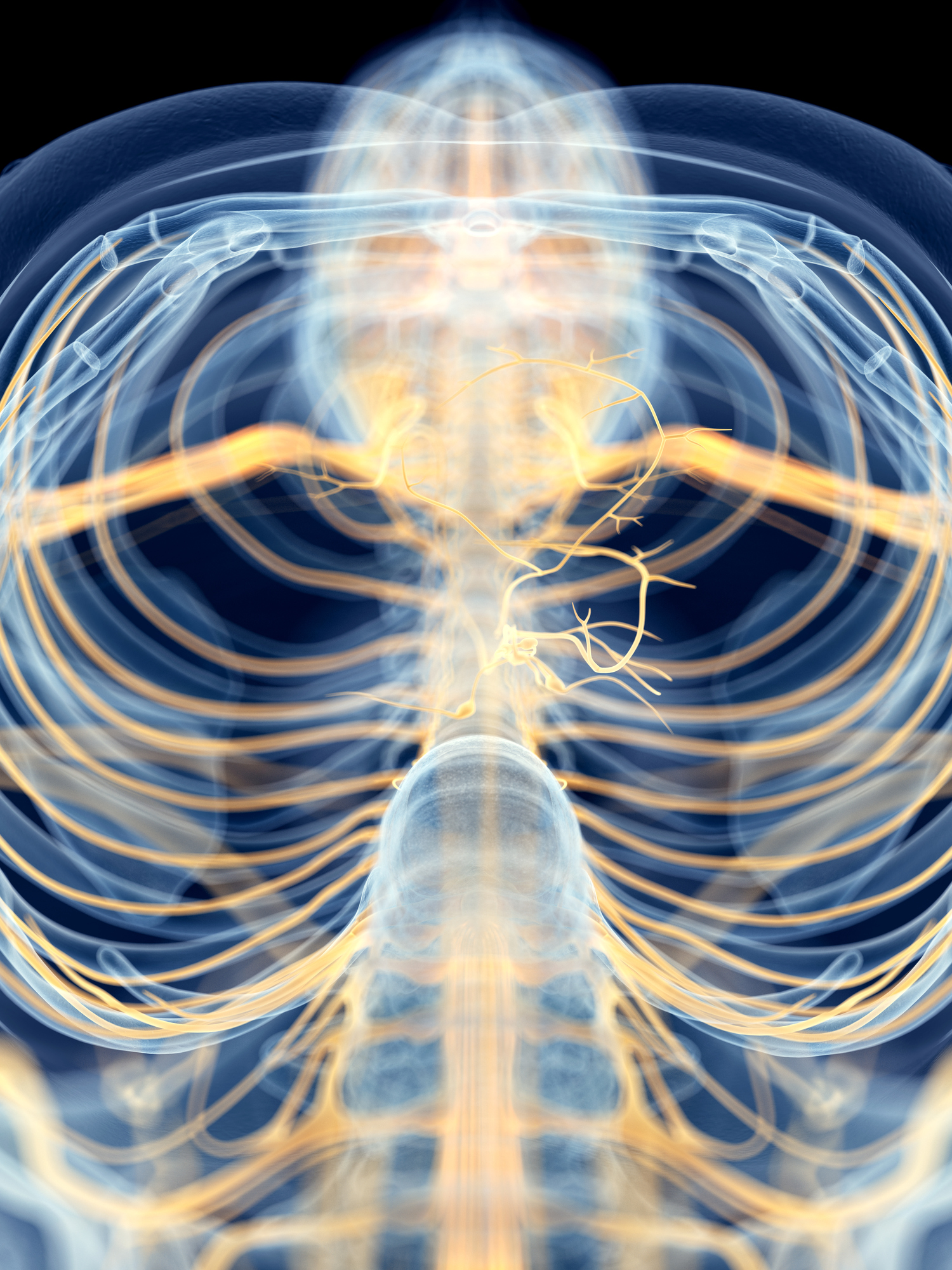 is-vagus-nerve-stimulation-a-viable-therapy-for-ra