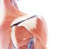 Effects of Progressive Resistance Training on Fatigue in FM Effects of Progressive Resistance Training on Fatigue in FM