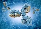 No Negative Effect on Disease Activity Seen in Switching Patients to Biosimilar Infliximab From Originator Drug No Negative Effect on Disease Activity Seen in Switching Patients to Biosimilar Infliximab From Originator Drug