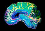 Should Pain-Related Insomnia Be Treated Differently? Should Pain-Related Insomnia Be Treated Differently?