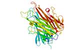 Juvenile Idiopathic Arthritis Treatment With TNFIs Linked With Higher Infection Risk Juvenile Idiopathic Arthritis Treatment With TNFIs Linked With Higher Infection Risk