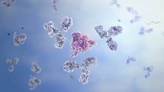 A strong association between antiphospholipid positivity and first-time MI may represent a risk factor for myocardial infarction. A strong association between antiphospholipid positivity and first-time MI may represent a risk factor for myocardial infarction.