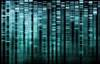 Genetic Polymorphisms Underlying Treatment Response Variations in RA Genetic Polymorphisms Underlying Treatment Response Variations in RA