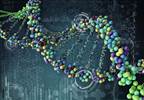 Genetic Risk Loci Found Within Disease Phenotypes Including SLE, JIA Genetic Risk Loci Found Within Disease Phenotypes Including SLE, JIA