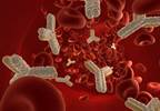 Predictive Value of Autoantibodies in Clinically Suspect Arthralgia and Risk for RA Predictive Value of Autoantibodies in Clinically Suspect Arthralgia and Risk for RA