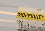 Morphine Lacks Efficacy for RA, Chronic Fatigue Syndrome and Fibromyalgia Morphine Lacks Efficacy for RA, Chronic Fatigue Syndrome and Fibromyalgia