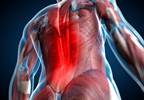 'Choosing Wisely' Linked to Small Reduction in Imaging for Back Pain 'Choosing Wisely' Linked to Small Reduction in Imaging for Back Pain