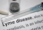 Lingering Symptoms May Persist After Treatment of Lyme Disease Lingering Symptoms May Persist After Treatment of Lyme Disease