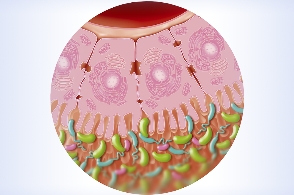 host-genetics-may-affect-intestinal-microbiota-composition-in-reactive