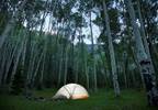 Case Study: A Syncopal Episode During a Camping Trip Case Study: A Syncopal Episode During a Camping Trip