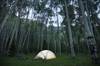 Case Study: A Syncopal Episode During a Camping Trip Case Study: A Syncopal Episode During a Camping Trip