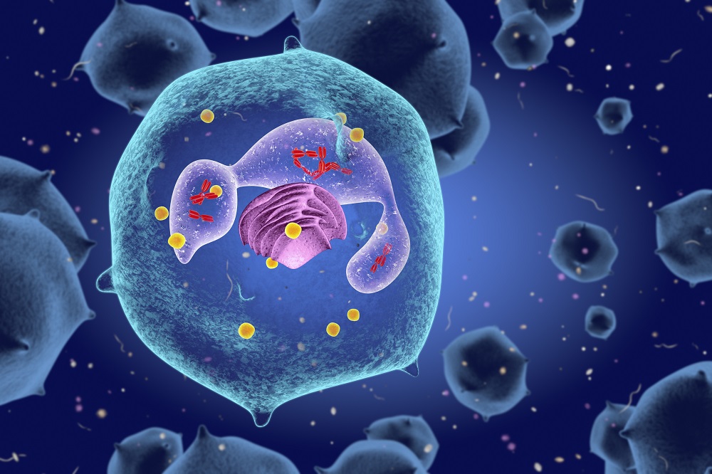 examining-the-role-of-neutrophils-in-systemic-onset-juvenile-idiopathic