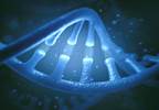 RNA Blood Test Available to Identify Fibromyalgia RNA Blood Test Available to Identify Fibromyalgia