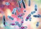 Lower Rheumatoid Arthritis Disease Activity Associated With Fewer Serious Infections Lower Rheumatoid Arthritis Disease Activity Associated With Fewer Serious Infections