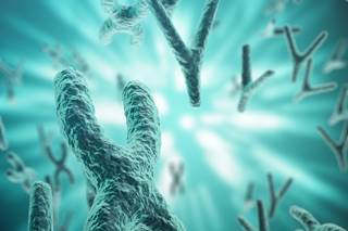 The exact mechanisms responsible for sex-based differences in RA are still being elucidated. The exact mechanisms responsible for sex-based differences in RA are still being elucidated.