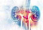 Comparing Factors Associated With Tubulointerstitial Inflammation in Lupus Nephritis Comparing Factors Associated With Tubulointerstitial Inflammation in Lupus Nephritis