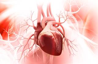 Inadequate cardiovascular disease prevention measures were observed in rheumatoid arthritis, axial spondyloarthritis, and psoriatic arthritis. Inadequate cardiovascular disease prevention measures were observed in rheumatoid arthritis, axial spondyloarthritis, and psoriatic arthritis.