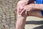 Differentiation of Knee Pain Phenotypes Among Older Adults Differentiation of Knee Pain Phenotypes Among Older Adults