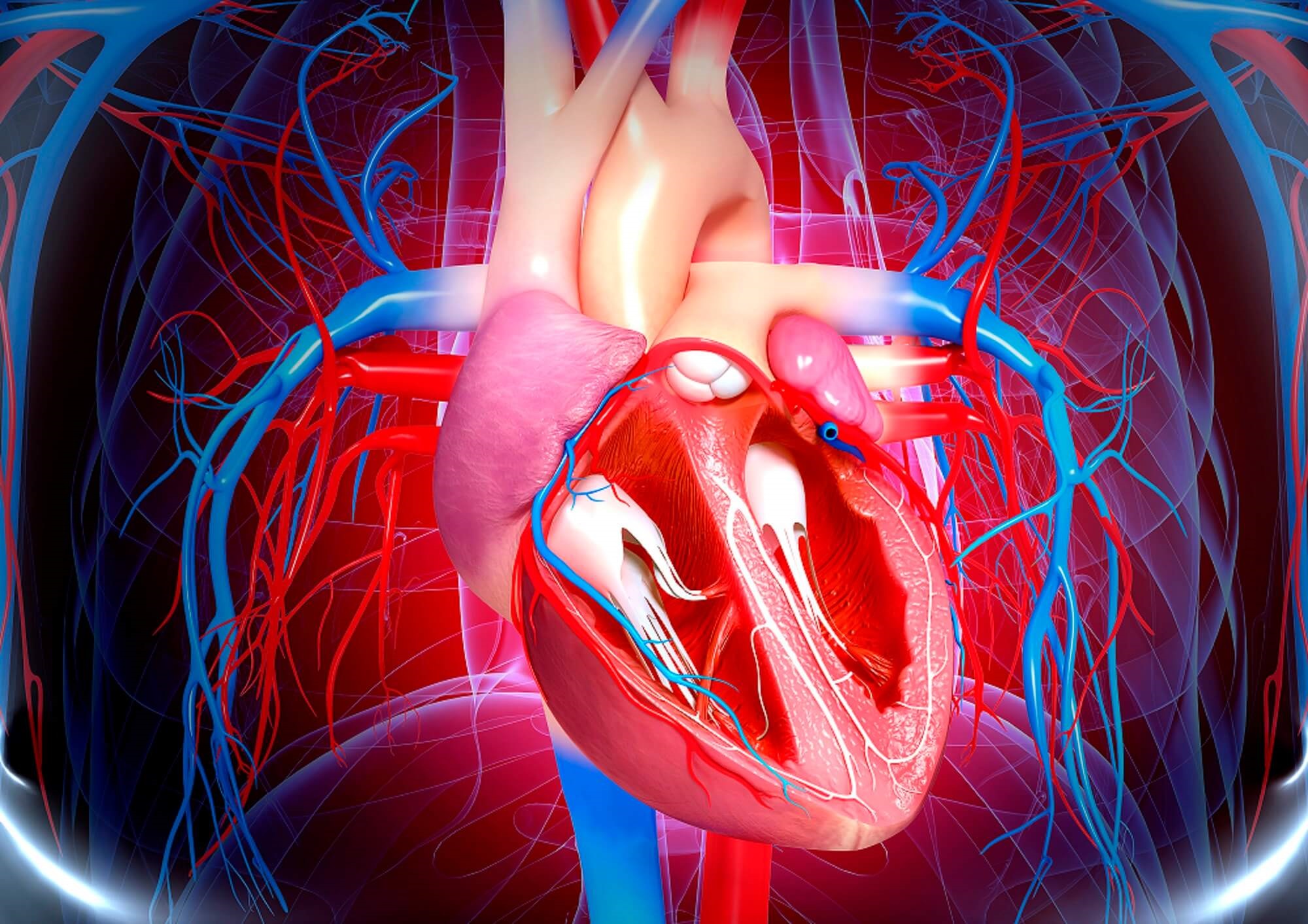 gout-associated-with-worse-outcomes-in-obstructive-coronary-artery-disease