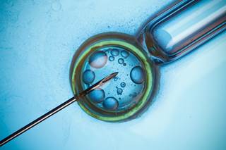 The live birth rate was significantly reduced in women with rheumatoid arthritis receiving ART treatment. The live birth rate was significantly reduced in women with rheumatoid arthritis receiving ART treatment.