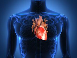 Researchers observed that patients with mildly elevated mPAP at rest had lower right ventricular output reserve and PAC during exercise than patients with normal mPAP at rest. Researchers observed that patients with mildly elevated mPAP at rest had lower right ventricular output reserve and PAC during exercise than patients with normal mPAP at rest.