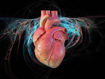 Cardiovascular Safety in Gout: Interpreting Data From the CARES Trial Cardiovascular Safety in Gout: Interpreting Data From the CARES Trial